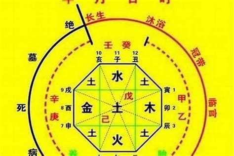 八字忌土|八字五行喜忌查询